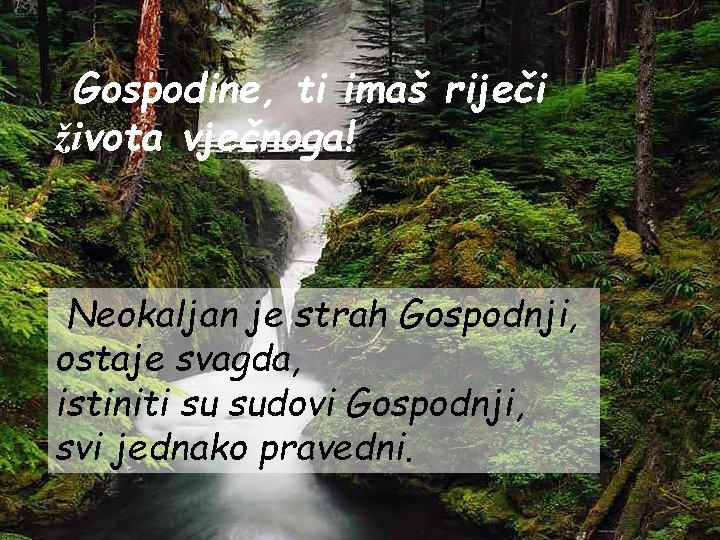 Gospodine, ti imaš riječi života vječnoga! Neokaljan je strah Gospodnji, ostaje svagda, istiniti su