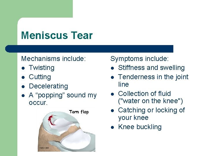 Meniscus Tear Mechanisms include: l Twisting l Cutting l Decelerating l A “popping” sound