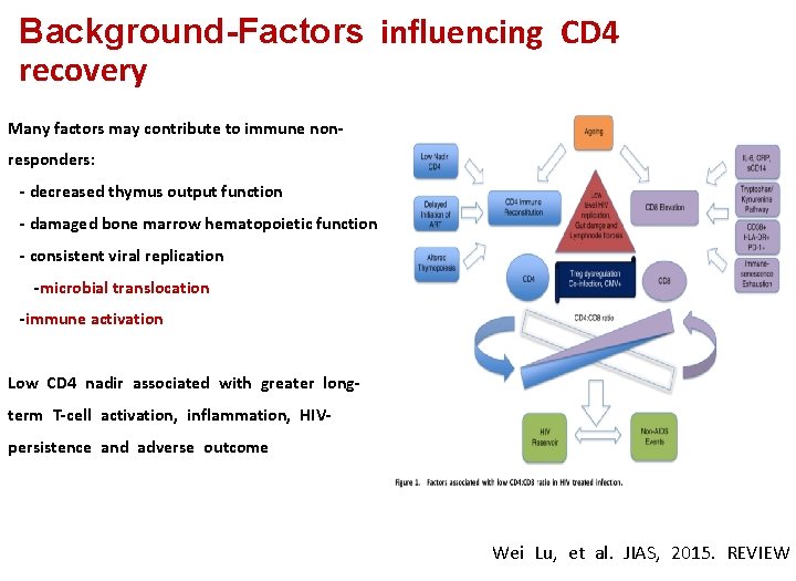 Background-Factors influencing CD 4 recovery Many factors may contribute to immune nonresponders: - decreased