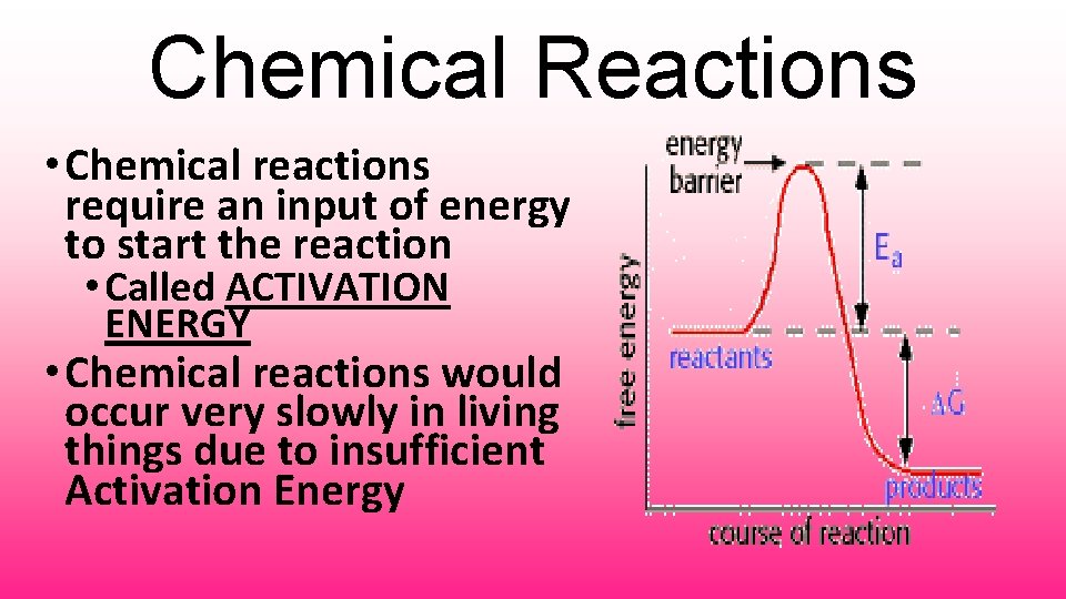 Chemical Reactions • Chemical reactions require an input of energy to start the reaction