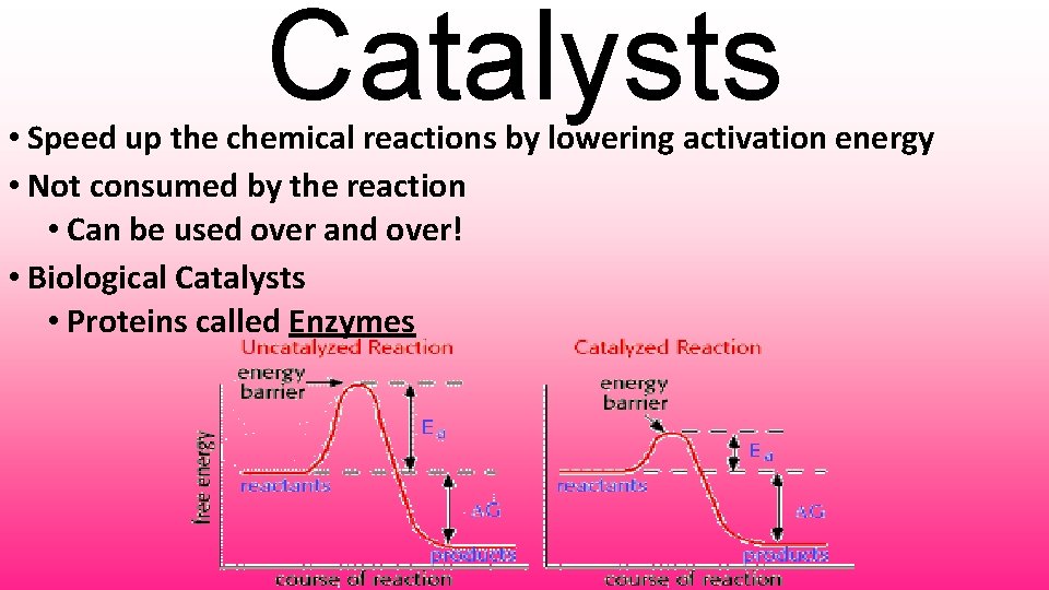 Catalysts • Speed up the chemical reactions by lowering activation energy • Not consumed