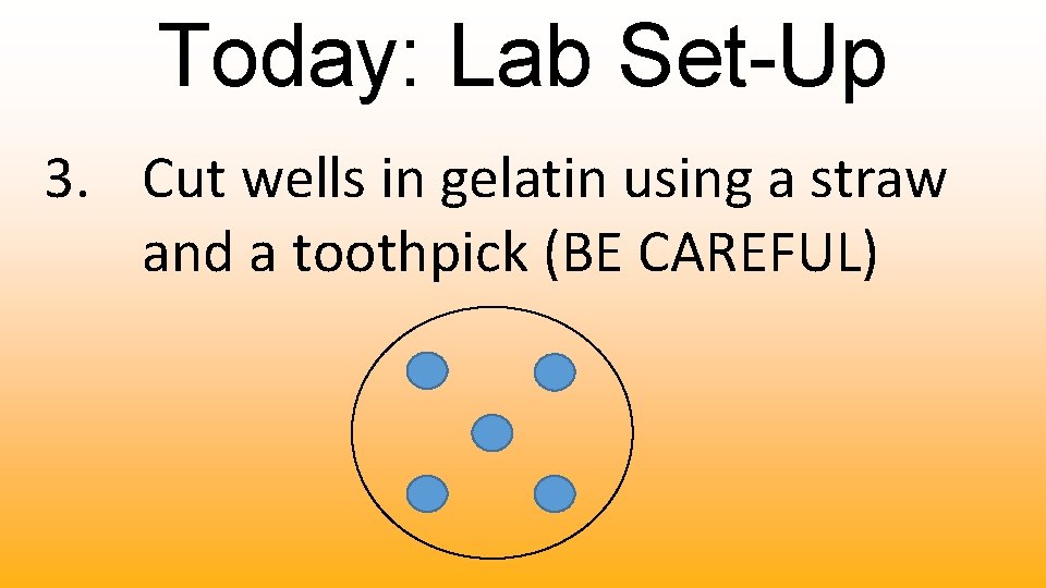 Today: Lab Set-Up 3. Cut wells in gelatin using a straw and a toothpick