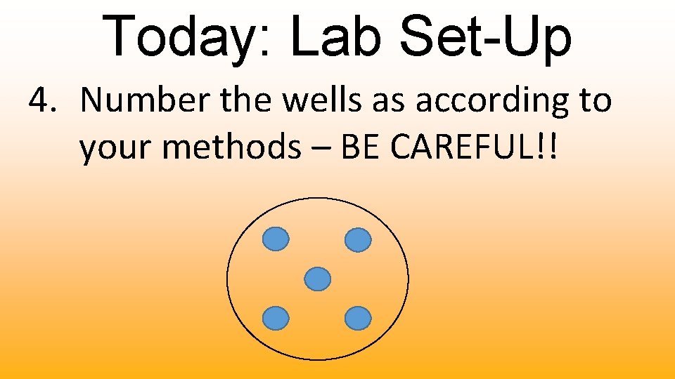 Today: Lab Set-Up 4. Number the wells as according to your methods – BE