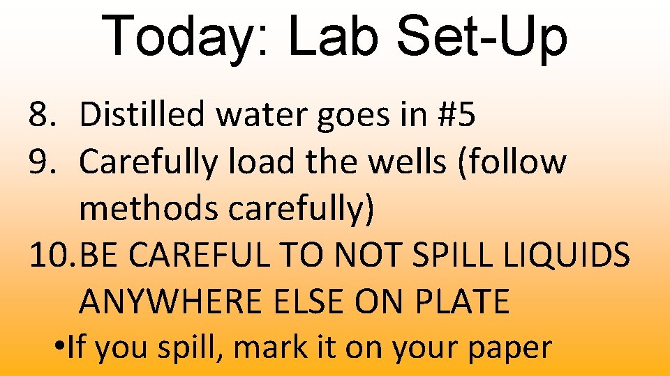 Today: Lab Set-Up 8. Distilled water goes in #5 9. Carefully load the wells