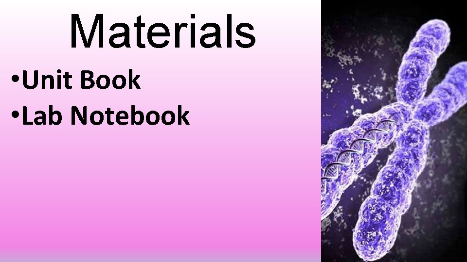 Materials • Unit Book • Lab Notebook 