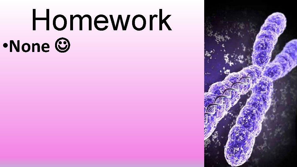 Homework • None 