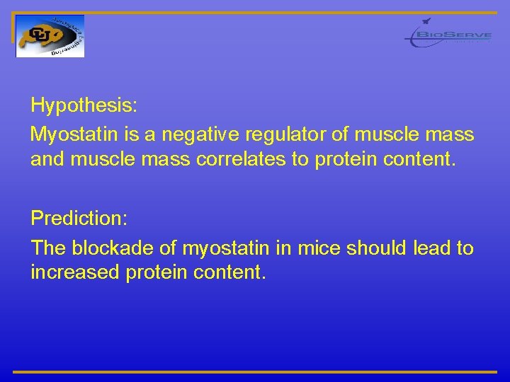 Effect of myostatin blockade and hindlimb suspension on