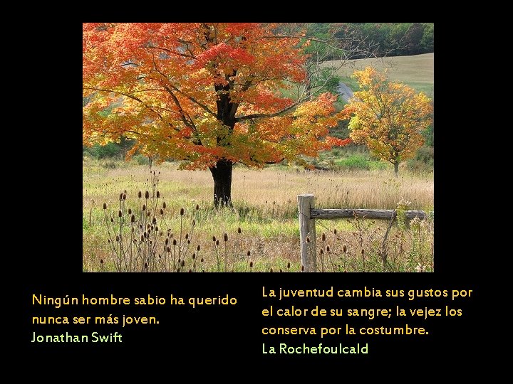 Ningún hombre sabio ha querido nunca ser más joven. Jonathan Swift La juventud cambia