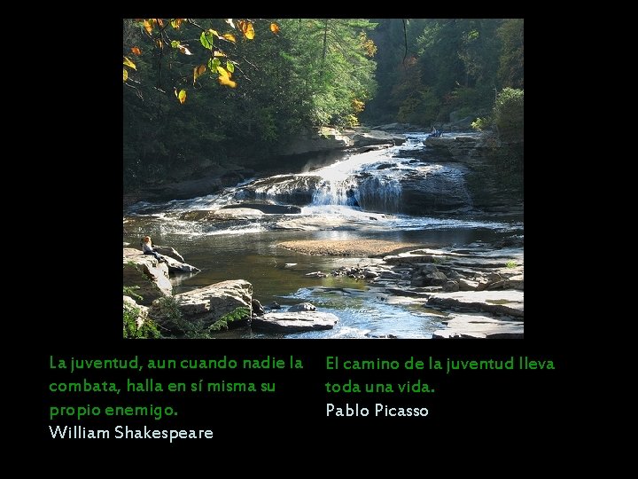 La juventud, aun cuando nadie la combata, halla en sí misma su propio enemigo.