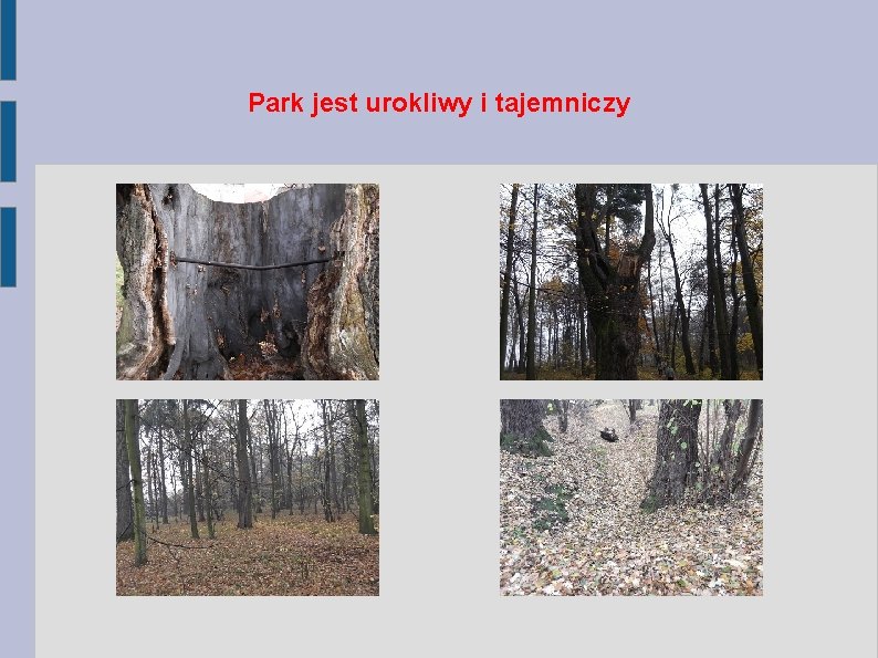 Park jest urokliwy i tajemniczy 