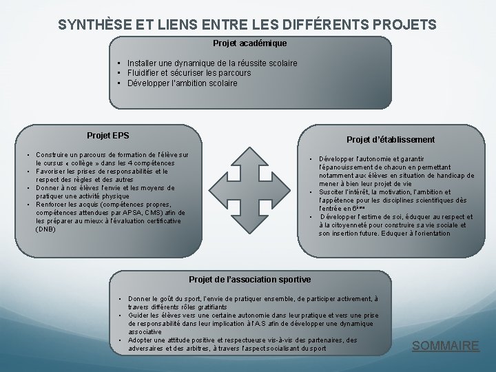 SYNTHÈSE ET LIENS ENTRE LES DIFFÉRENTS PROJETS Projet académique • Installer une dynamique de