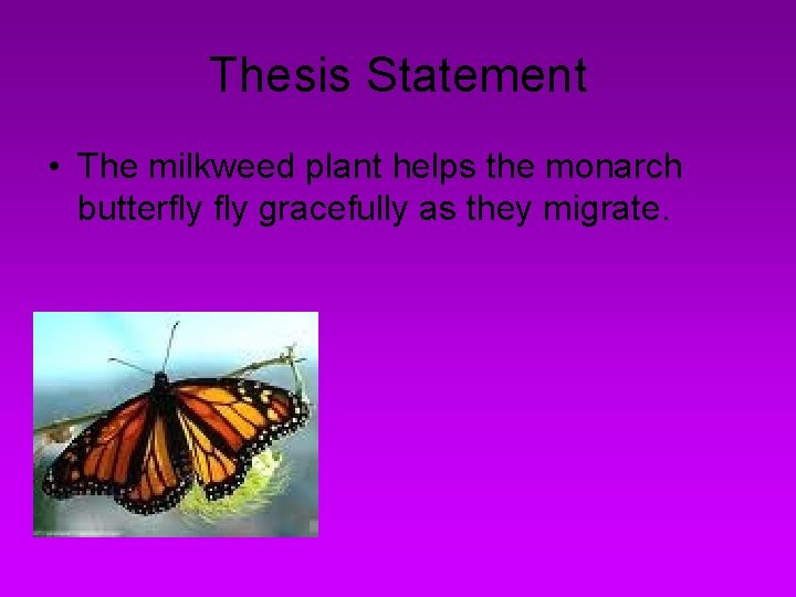 Thesis Statement • The milkweed plant helps the monarch butterfly gracefully as they migrate.
