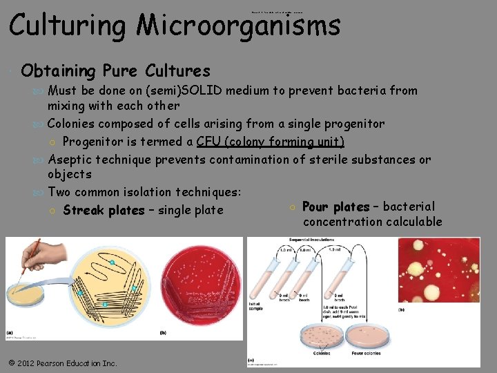 Culturing Microorganisms Figure 6. 10 Pour plate method of isolation-overview Obtaining Pure Cultures Must