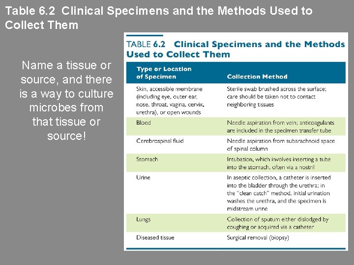 Table 6. 2 Clinical Specimens and the Methods Used to Collect Them Name a