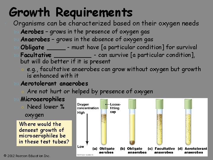 Growth Requirements Organisms can be characterized based on their oxygen needs Aerobes – grows