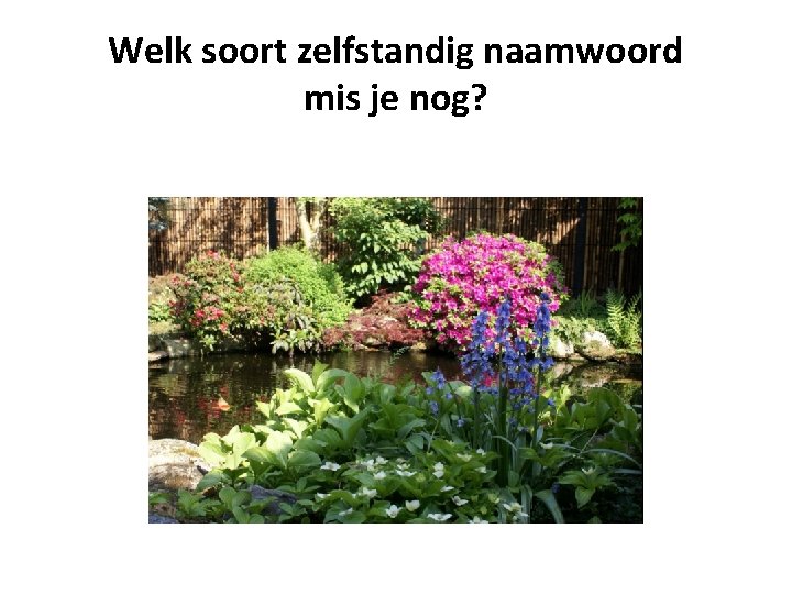 Welk soort zelfstandig naamwoord mis je nog? 