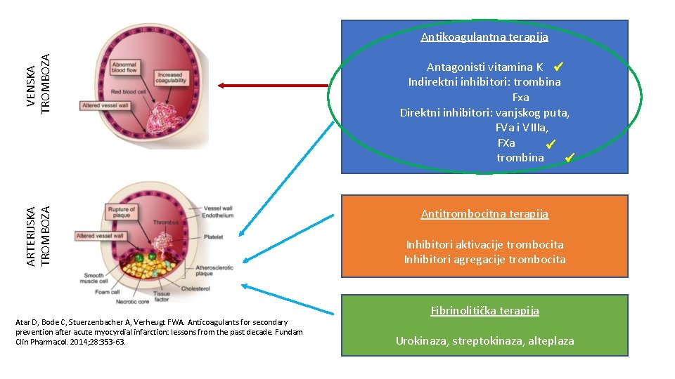 VENSKA TROMBOZA Antagonisti vitamina K Indirektni inhibitori: trombina Fxa Direktni inhibitori: vanjskog puta, FVa