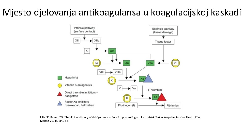 Mjesto djelovanja antikoagulansa u koagulacijskoj kaskadi Ellis CR, Kaiser DW. The clinical efficacy of