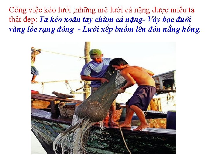 Công việc kéo lưới , những mẻ lưới cá nặng được miêu tả thật