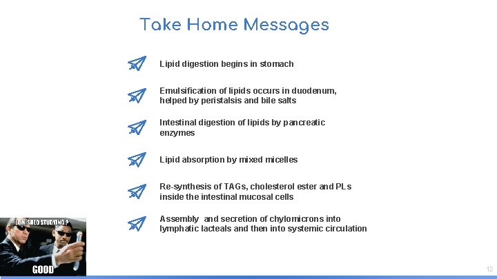 Take Home Messages Lipid digestion begins in stomach Emulsification of lipids occurs in duodenum,