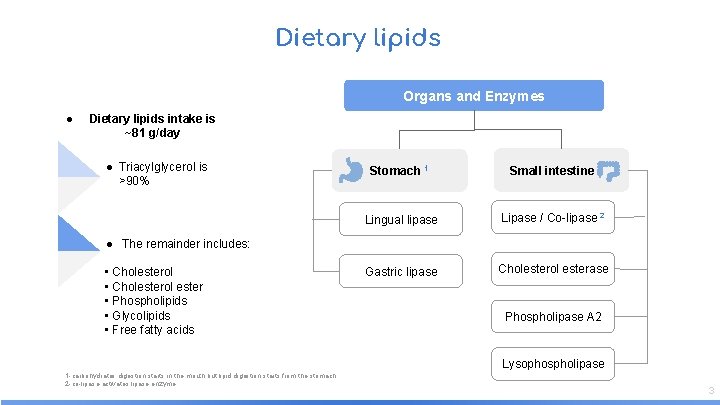 Dietary lipids Organs and Enzymes ● Dietary lipids intake is ~81 g/day ● Triacylglycerol