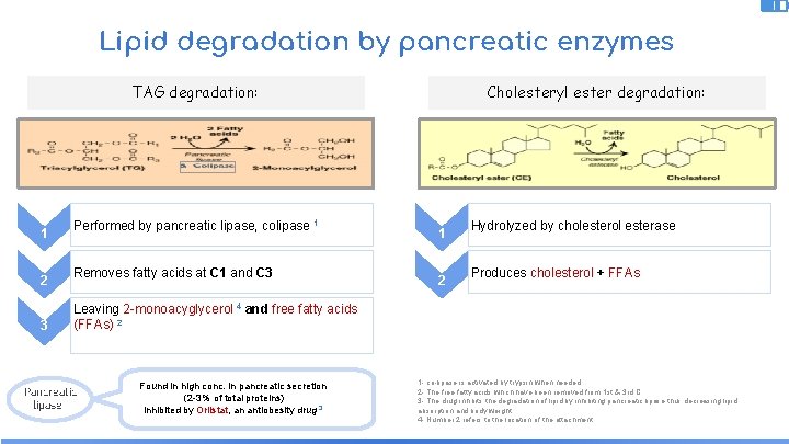 Lipid degradation by pancreatic enzymes Cholesteryl ester degradation: TAG degradation: 1 2 3 Performed