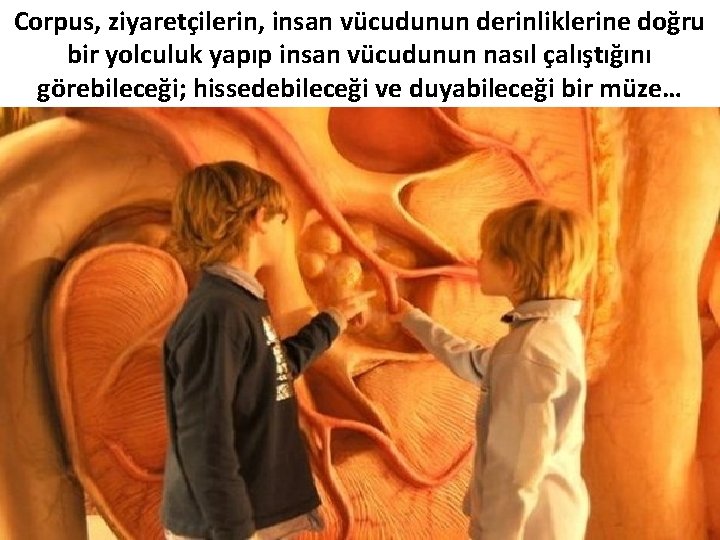 Corpus, ziyaretçilerin, insan vücudunun derinliklerine doğru bir yolculuk yapıp insan vücudunun nasıl çalıştığını görebileceği;