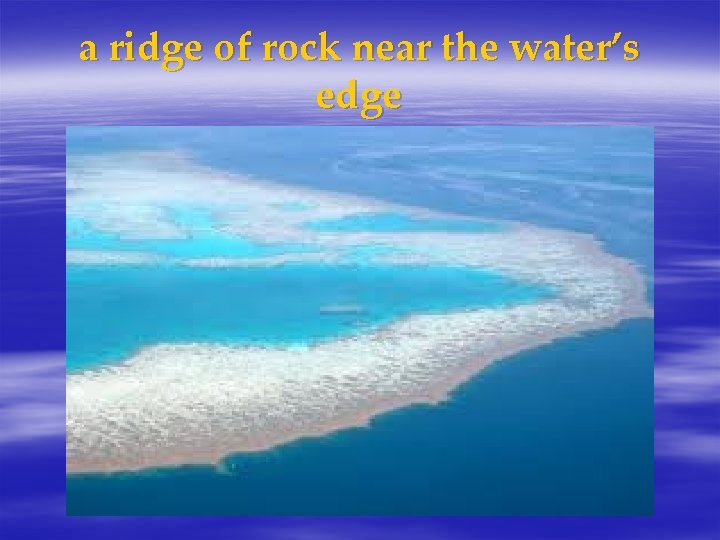 a ridge of rock near the water’s edge 