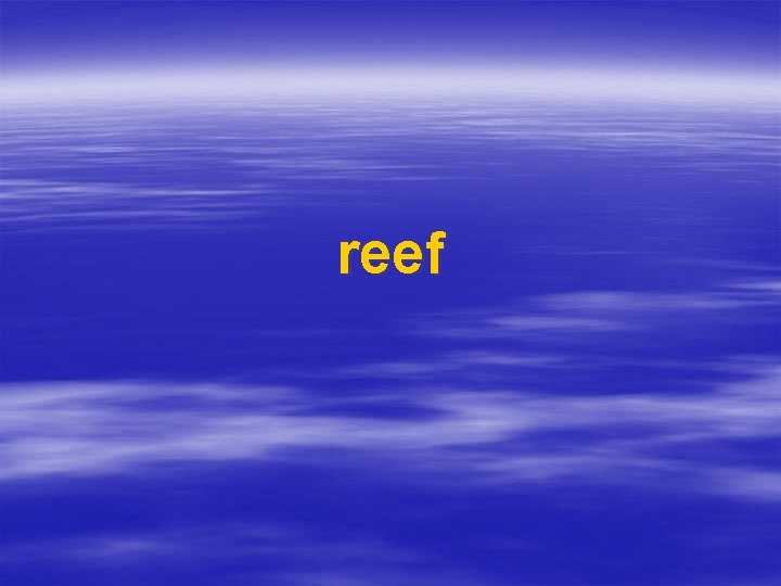 reef 