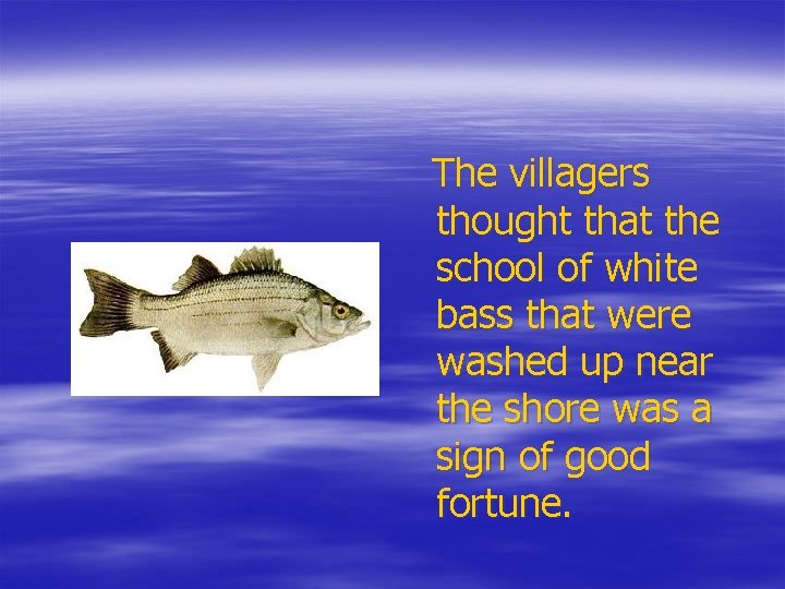 The villagers thought that the school of white bass that were washed up near