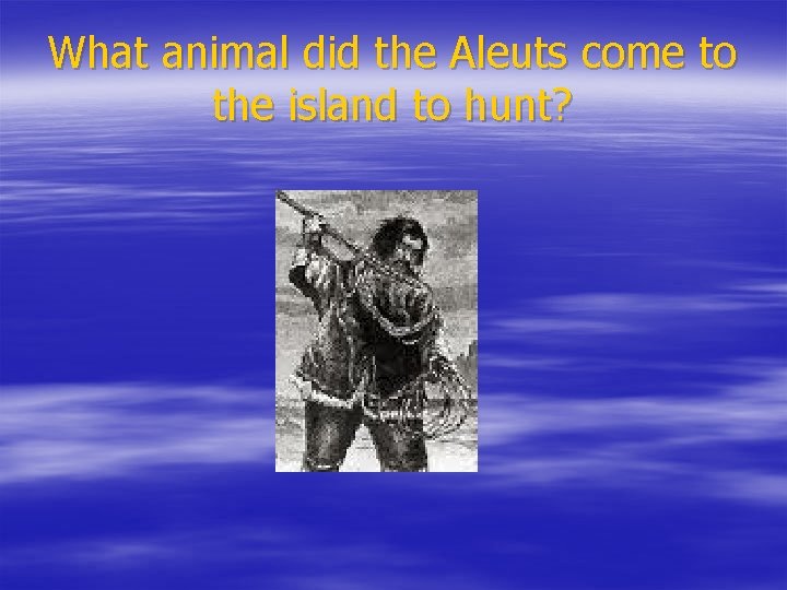 What animal did the Aleuts come to the island to hunt? 