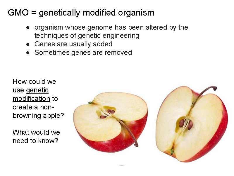  GMO = genetically modified organism ● organism whose genome has been altered by