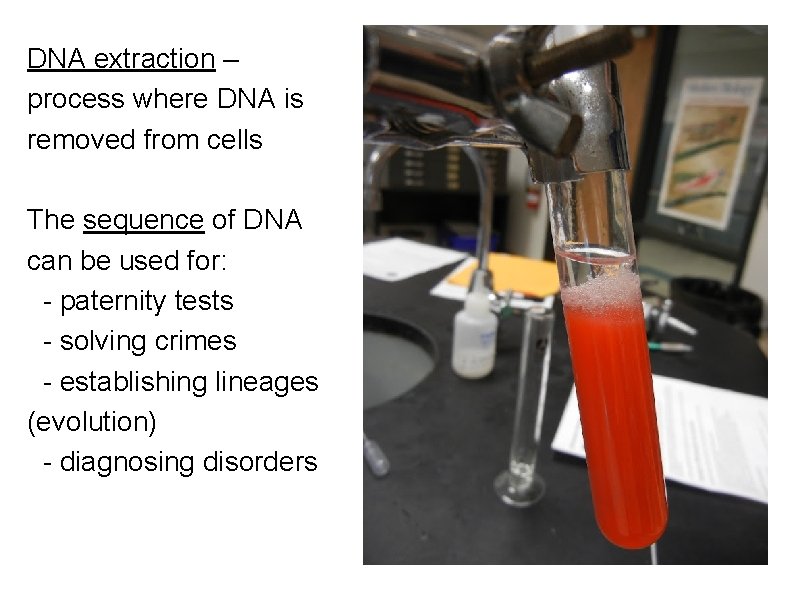 DNA extraction – process where DNA is removed from cells The sequence of DNA