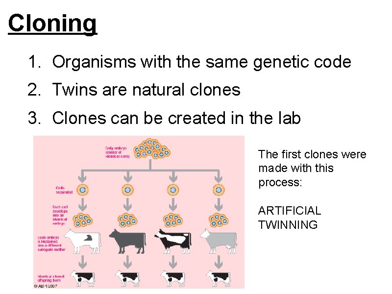 Cloning 1. Organisms with the same genetic code 2. Twins are natural clones 3.