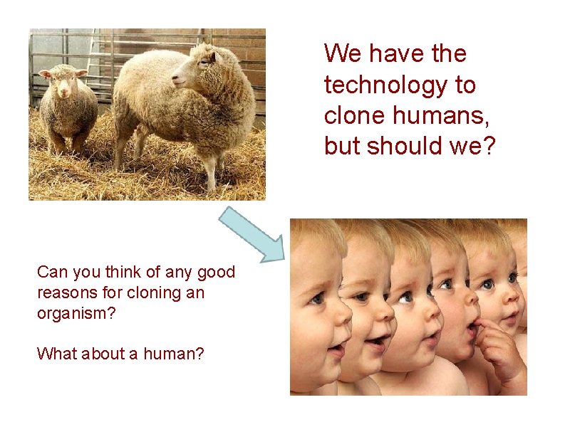 We have the technology to clone humans, but should we? Can you think of