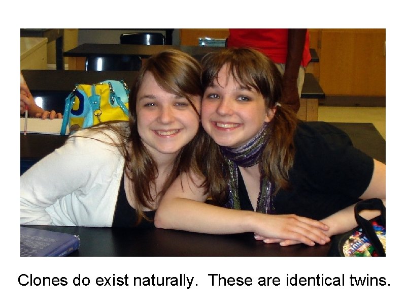 Clones do exist naturally. These are identical twins. 