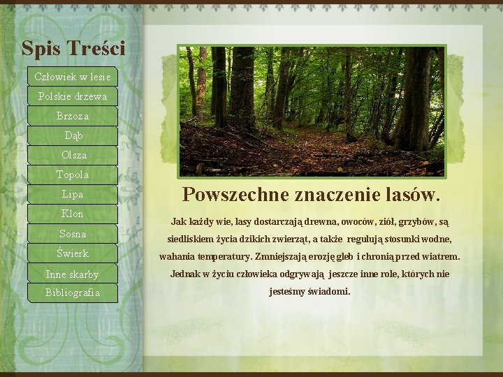 Spis Treści Człowiek w lesie Polskie drzewa Brzoza Dąb Olsza Topola Lipa Klon Powszechne