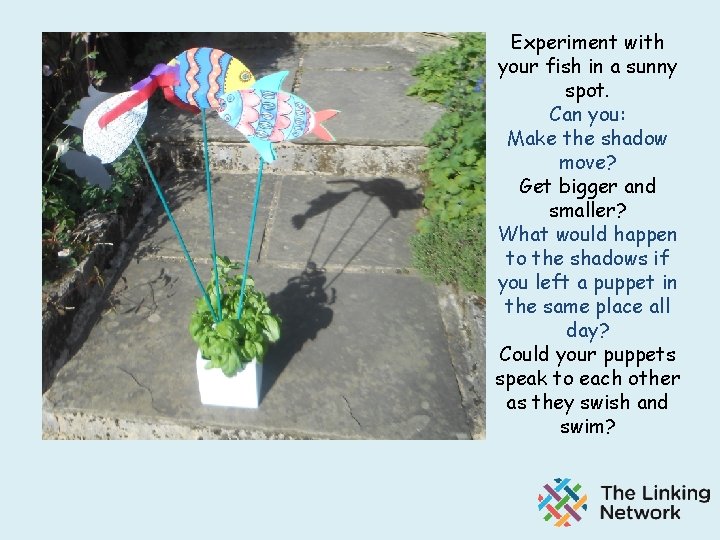 Experiment with your fish in a sunny spot. Can you: Make the shadow move?