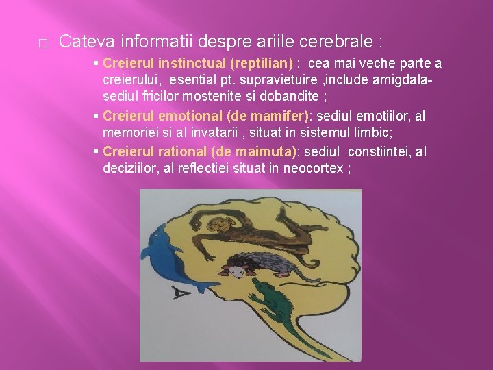 � Cateva informatii despre ariile cerebrale : § Creierul instinctual (reptilian) : cea mai