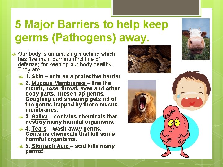 5 Major Barriers to help keep germs (Pathogens) away. Our body is an amazing