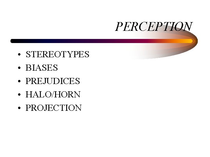 PERCEPTION • • • STEREOTYPES BIASES PREJUDICES HALO/HORN PROJECTION 