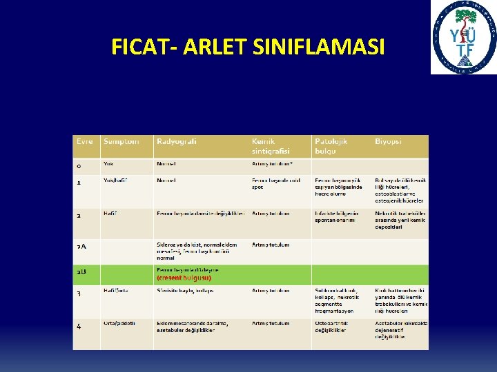 FICAT- ARLET SINIFLAMASI 