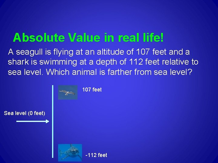 Absolute Value in real life! A seagull is flying at an altitude of 107