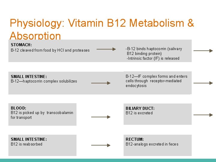 Physiology: Vitamin B 12 Metabolism & Absorption STOMACH: B-12 cleaved from food by HCl