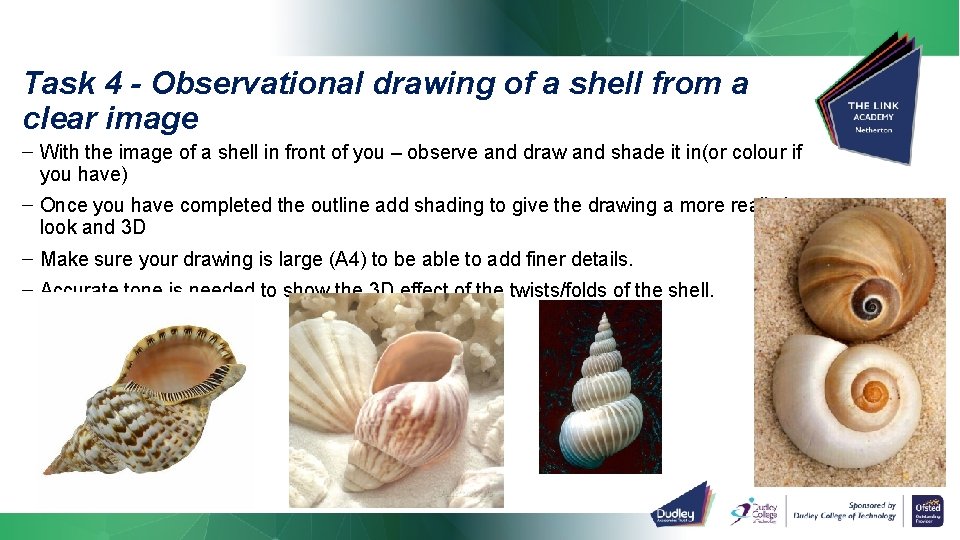 Task 4 - Observational drawing of a shell from a clear image – With