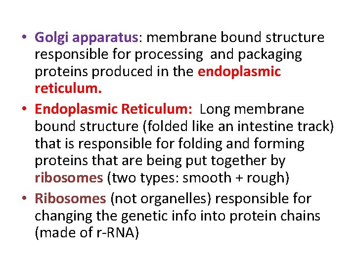  • Golgi apparatus: membrane bound structure responsible for processing and packaging proteins produced