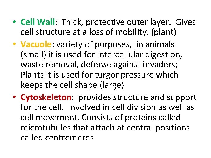  • Cell Wall: Thick, protective outer layer. Gives cell structure at a loss