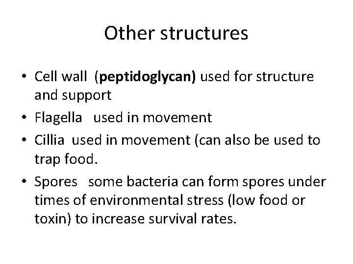 Other structures • Cell wall (peptidoglycan) used for structure and support • Flagella used