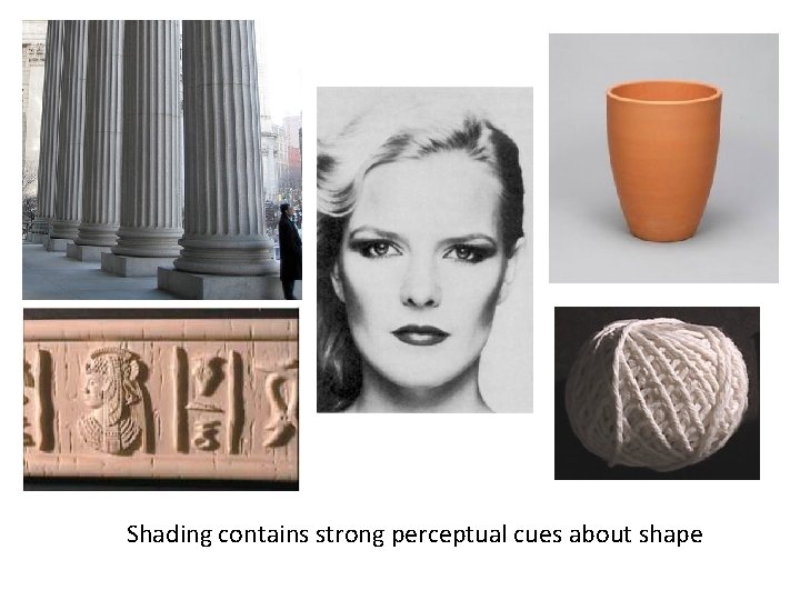 Shading contains strong perceptual cues about shape 