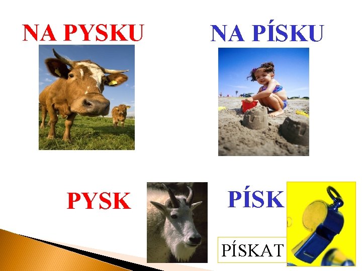 NA PYSKU PYSK NA PÍSKU PÍSKAT 